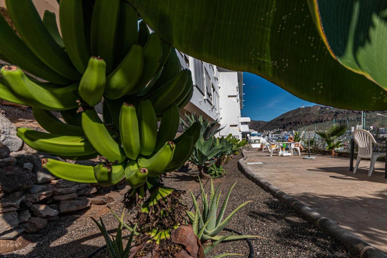 Puerto Rico Corner Apartment ภายนอก รูปภาพ